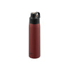 TIGER MCS-A050 Vacuum Insulated Thermal Bottle with Stainless Steel Straw